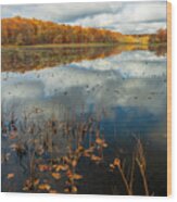 Oak Leaves In Haven Hill Lake Late Autumn Fc10508 Wood Print