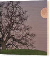 Oak Tree Moonset Wood Print
