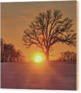 Oakset - Winter Wi Sunset Behind A Solitary Oak Tree Wood Print
