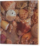 Oceanside Beach House Seashell Collection Wood Print