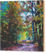 Ocmulgee Autumn Wood Print