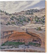 October 2019 Cliff Dwelling Wood Print