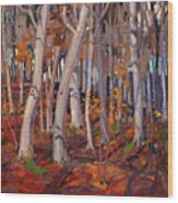 October Birches Wood Print