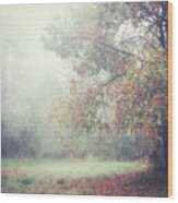 October Meadow Wood Print
