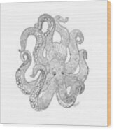 Octopus Of The Sea Line Drawing Wood Print
