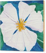 Ode To Georgia 3 White Clematis Flower Wood Print