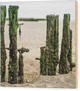 Old Pilings In A Tidal Flat Wood Print