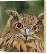 Old Wise Owl Wood Print