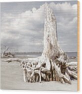 On Driftwood Beach At Low Tide In Beachhouse Hues Wood Print