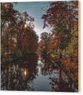 On The Banks Of The Red Cedar In The Fall Wood Print
