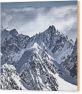 On The Top Of The Swiss Alps Mountain Range Wood Print