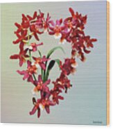 Orchid - Oncostele Hilo Firecracker 'new Year' Wood Print