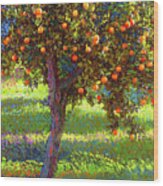 Orange Fruit Tree Wood Print