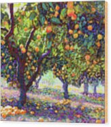 Orange Grove Of Citrus Fruit Trees Wood Print