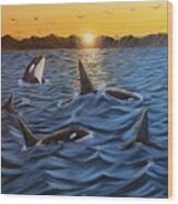 Orcas Sunset Wood Print