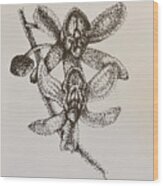 Orchid Wood Print