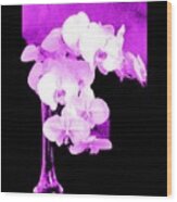 Orchid  Orchids By Viva Wood Print