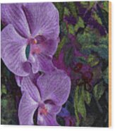 Orchids 211 Wood Print