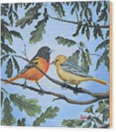 Oriole Birds On White Oak Tree Wood Print