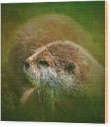 Otter Wood Print