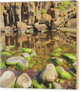 Outback Rock Reflections Wood Print