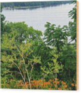 Overlooking The Mighty Mississippi River Wood Print