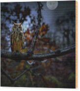 Owl On Branch At Night Wood Print