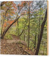 Ozarks Fall Forest Hike Wood Print