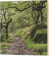Padley Woods, Peak District, England, Uk Wood Print