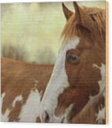 Painted Horse Tender Moment Wood Print