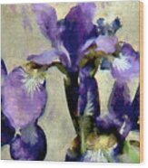 Painted Irises Wood Print