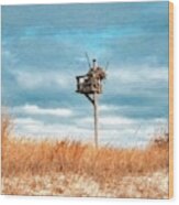 Painterly Osprey Nest At The Beach Wood Print