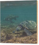 Pair Of Sea Turtles In A Kauai Reef Wood Print