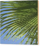 Palm Frond And Blue Sky, Summer On The Beach Wood Print