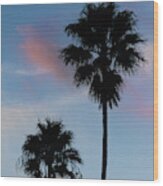 Palm Tree Silhouettes On Blue Sky Nature / Botanical Photograph Wood Print