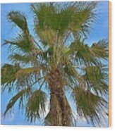 Palm Tree Wood Print