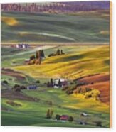 Palouse Farming As Seen From Steptoe Butte Wood Print