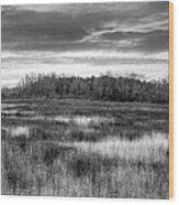 Panorama Overlooking The Marsh Black And White Wood Print