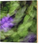 Pansie Swirl Icm Wood Print