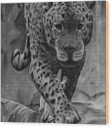 Panthera Wood Print