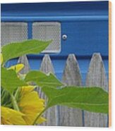 Outhouse Parisian Blue Wide Wood Print