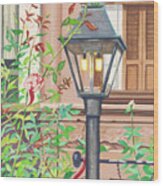 Park Slope Lamp Brooklyn Ny 1982 Wood Print