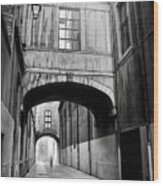 Passageways Of Historic Lyon France Black And White Wood Print
