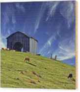 Pastoral - Cattle Grazing Peacefully On Springtime Grass Of A Kentucky Hillside Below Barn Wood Print