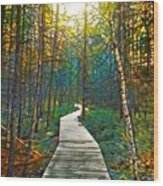 Path In The Forest Design 263 Wood Print