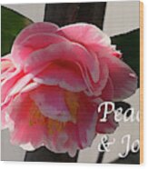 Peace And Joy - Pink And White Camellia Bloom Wood Print