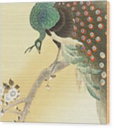 Peacock On A Cherry Blossom Tree Wood Print