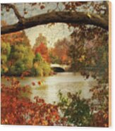 Peak Autumn In Central Park Wood Print