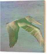 Pelican In Flight 7 Wood Print