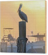 Pelican In Florida's Destin Harbor Wood Print